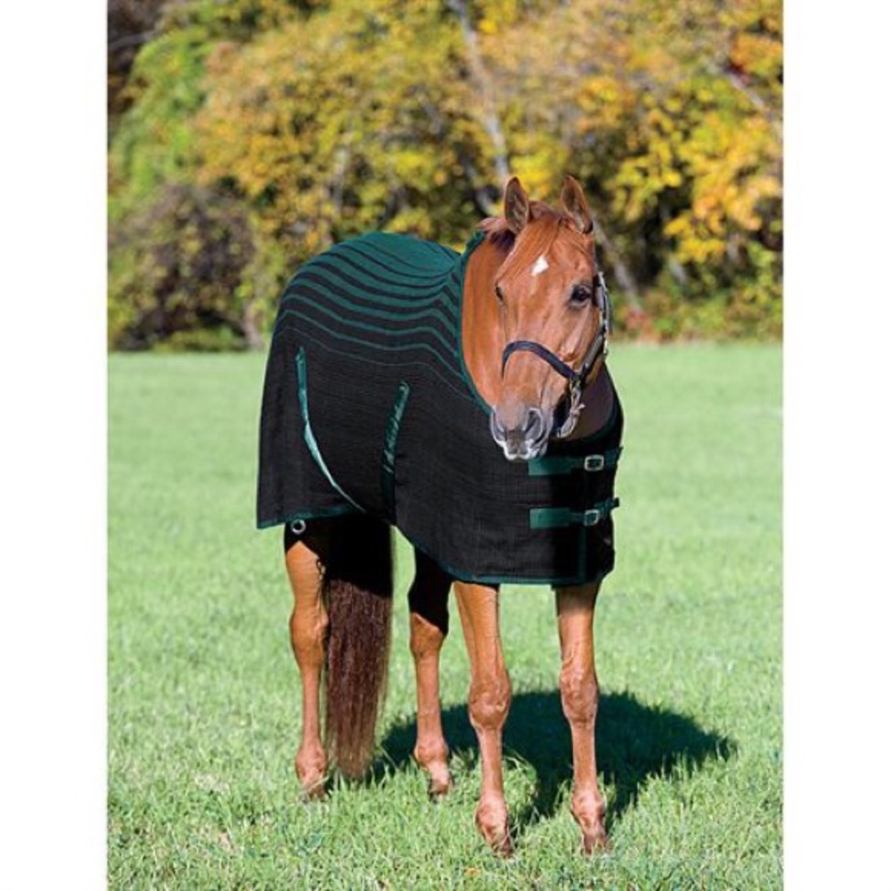 Knit Horse Sheet/Cooler 78” Black & Green Dover